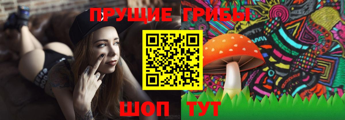дарнет шоп  Галлюциногенные грибы мухоморы  Вход с VPN  Кулебаки 