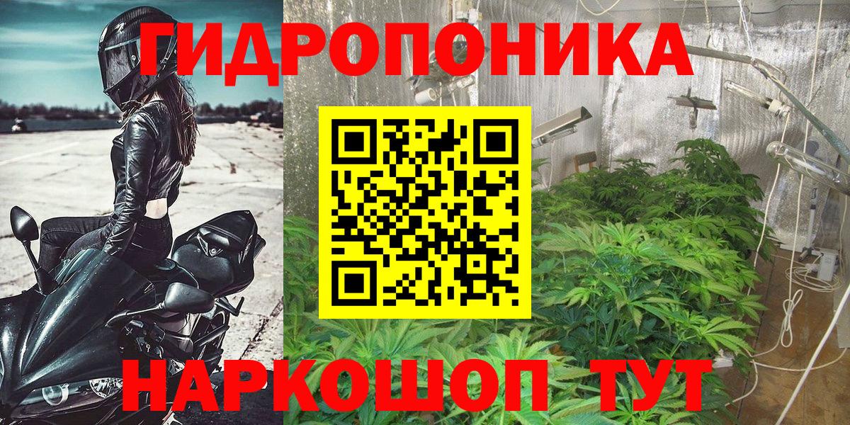 Бошки Шишки Amnesia  Вход с VPN  Бошки марихуана гибрид  Марихуана White Widow  Кулебаки 
